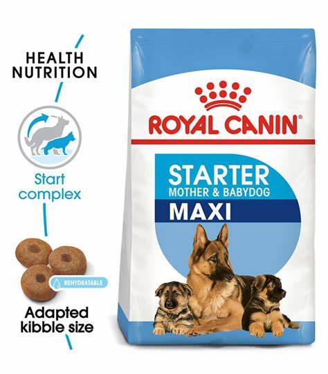 Royal Canin Perro Maxi Starter Mother & Babydog